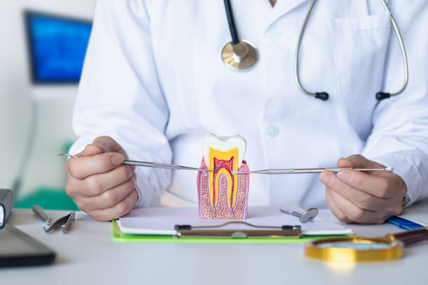 Best Emergency Tooth Extraction  in Craig Beach, OH
